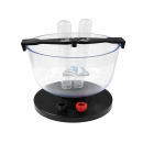 Electrolysis of Water Model